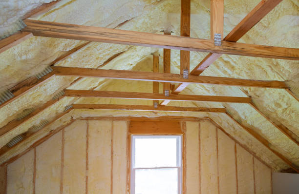Trusted Third Lake, IL Insulation Contractor Experts