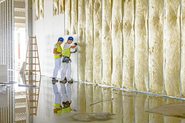Best Residential Insulation in Third Lake, IL